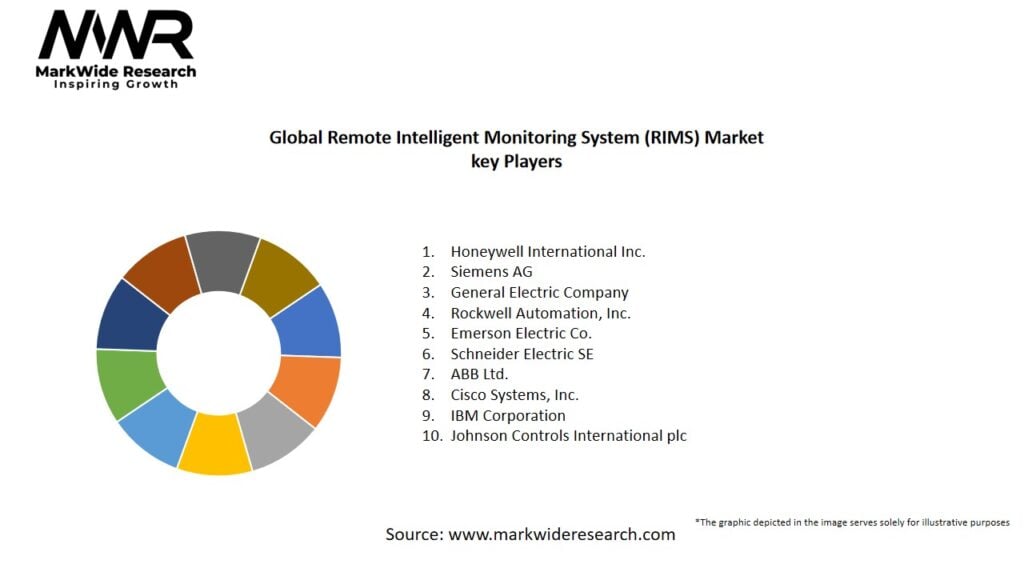 Global Remote Intelligent Monitoring System (RIMS) market Key Players