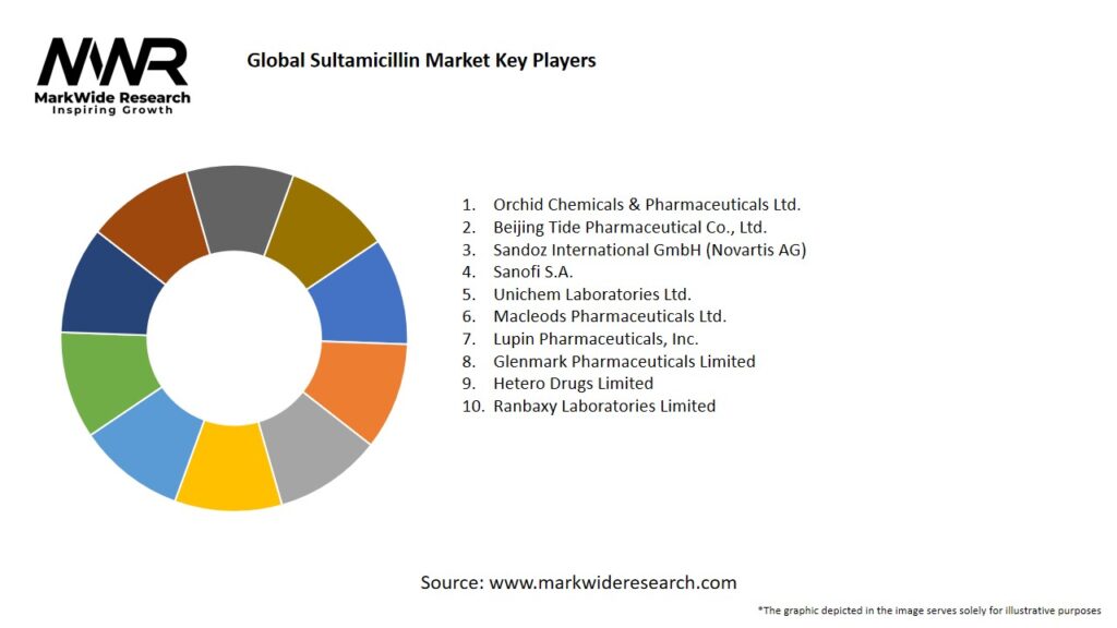 Global Sultamicillin market Key Players