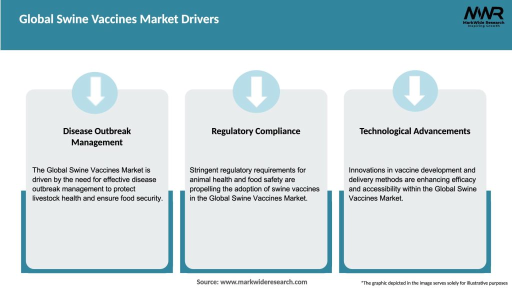 Global Swine Vaccines Market Drivers