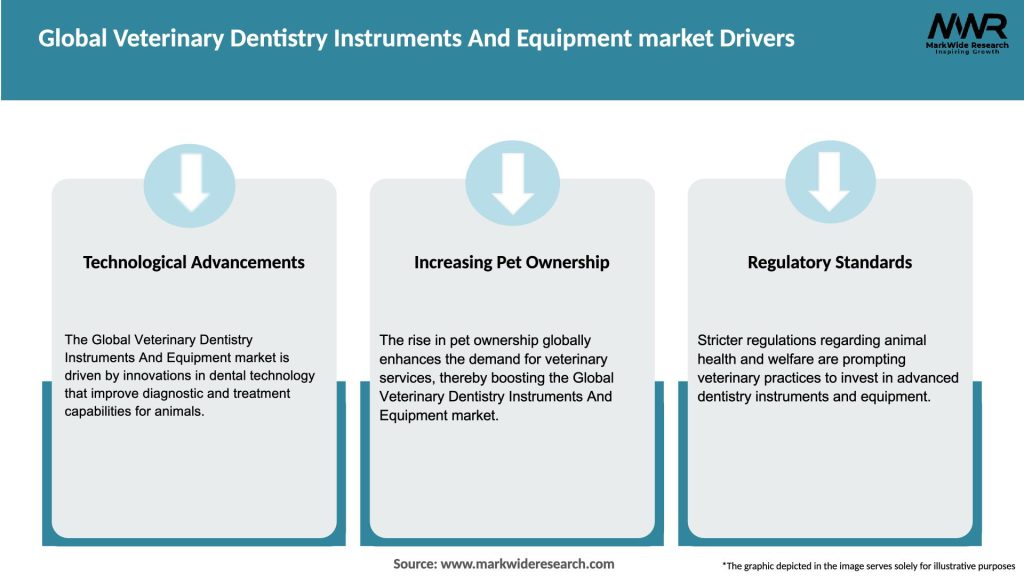 Global Veterinary Dentistry Instruments And Equipment market Drivers