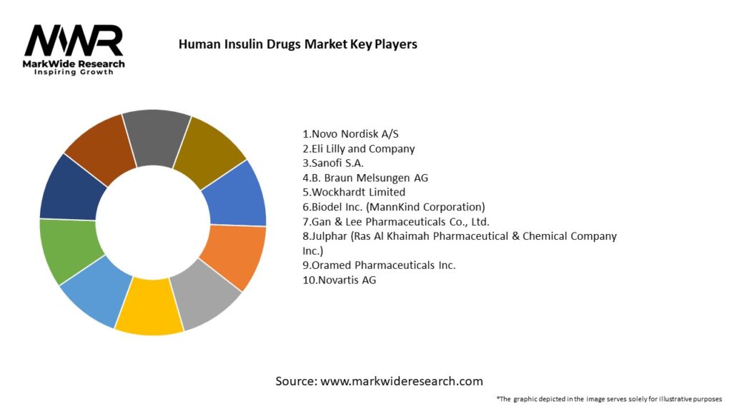 Human Insulin Drugs Market Key Players