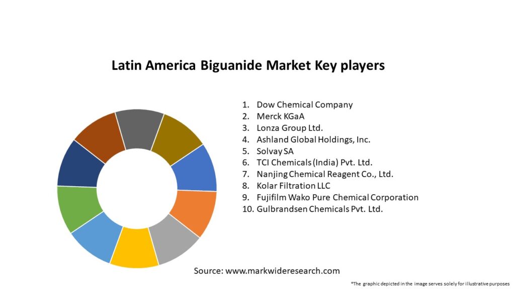 Latin America Biguanide Market Key Players