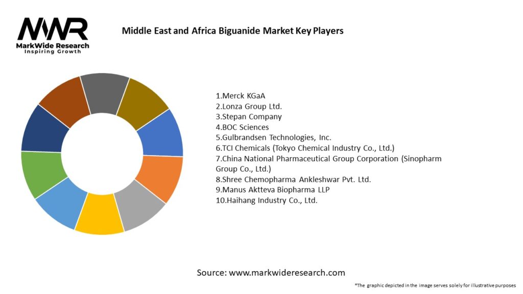 Middle East and Africa Biguanide Market Key Players