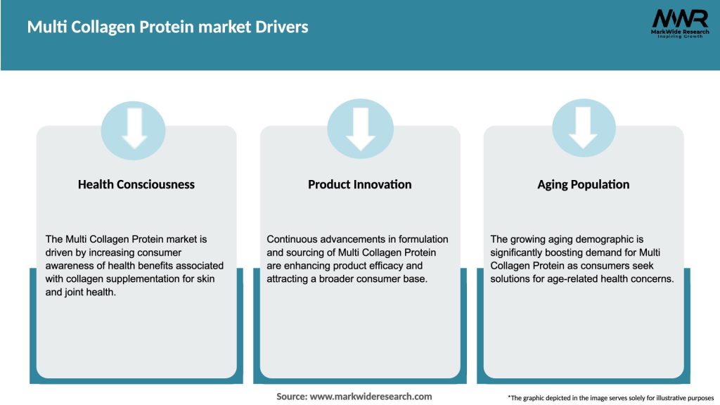 Multi Collagen Protein market Drivers