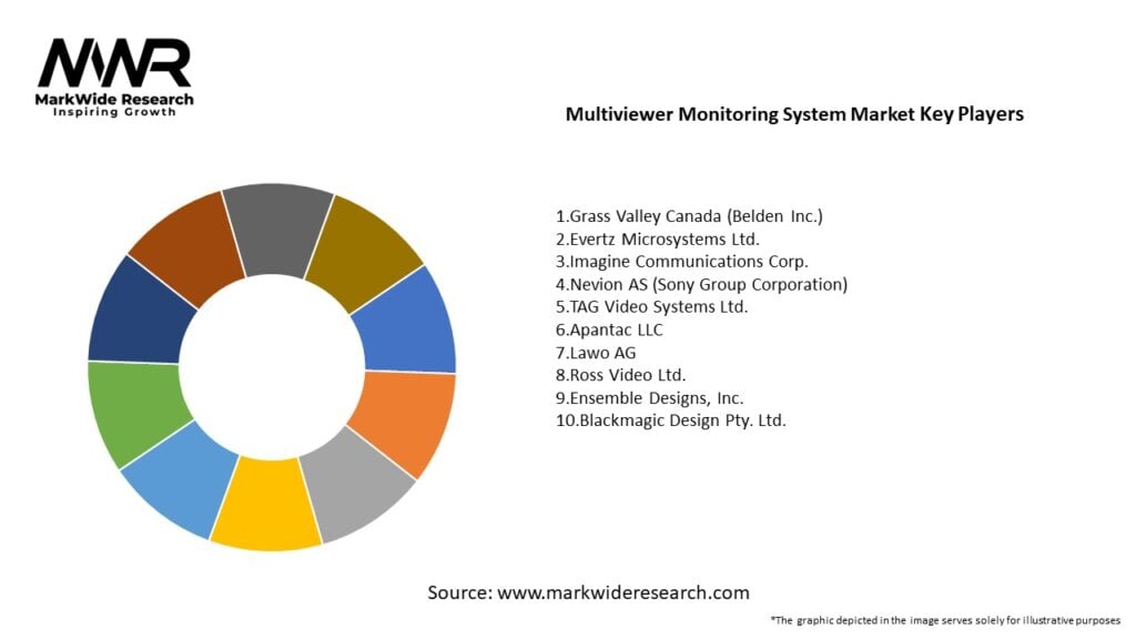 Multiviewer Monitoring System market Key Players
