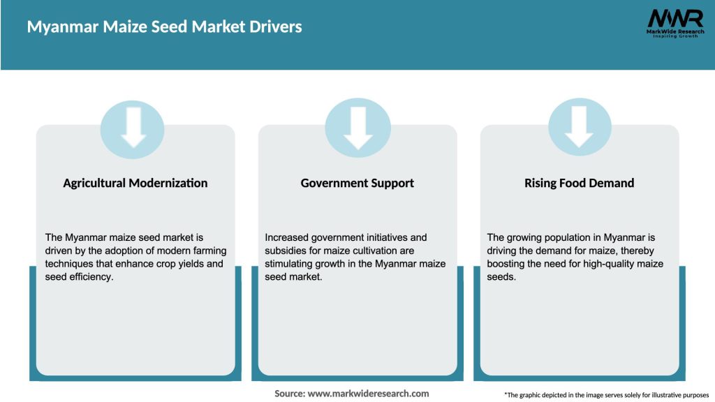 Myanmar Maize Seed Market Drivers