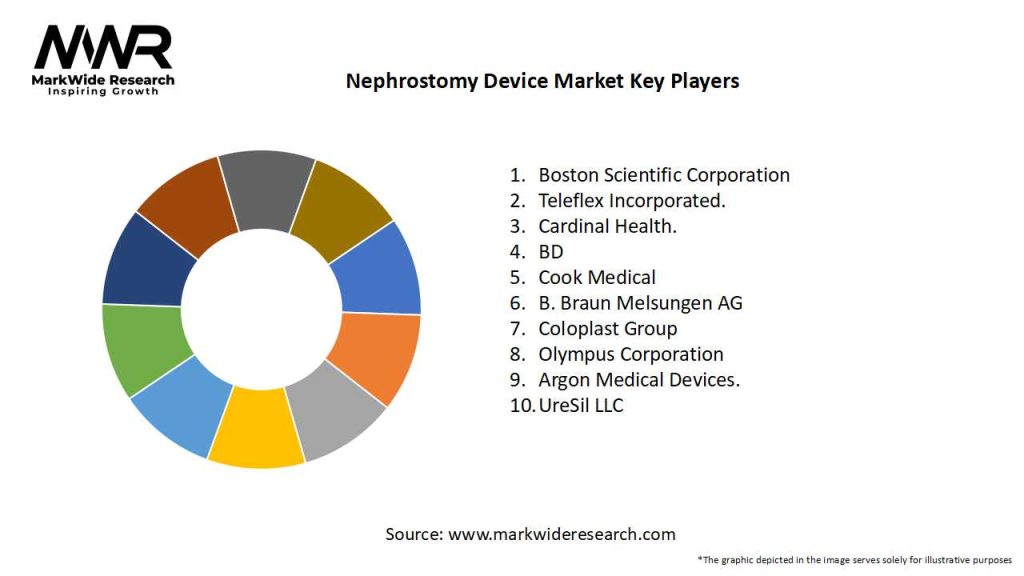Nephrostomy Device Market Key Players
