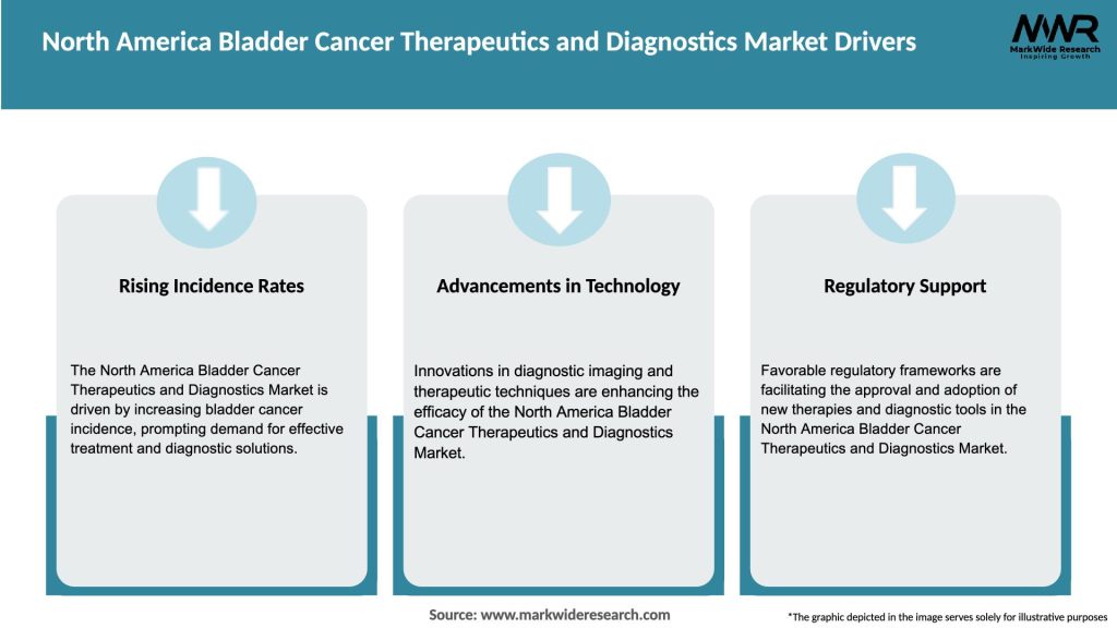 North America Bladder Cancer Therapeutics and Diagnostics Market Drivers