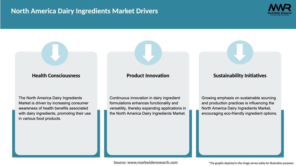 North America Dairy Ingredients Market Drivers