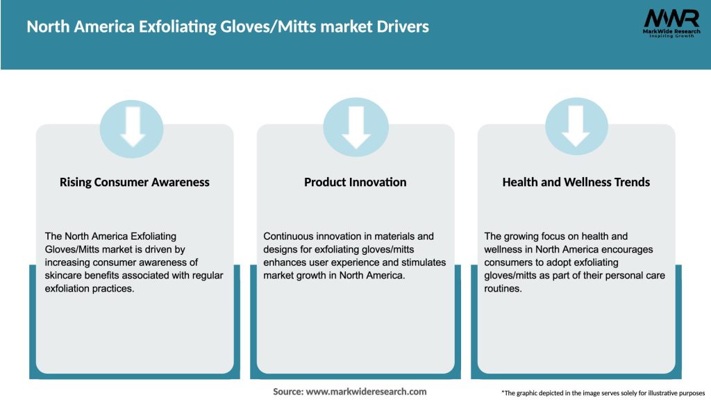 North America Exfoliating Gloves/Mitts market Drivers