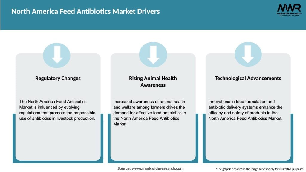 North America Feed Antibiotics Market Drivers