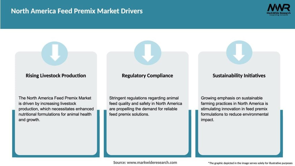 North America Feed Premix Market Drivers