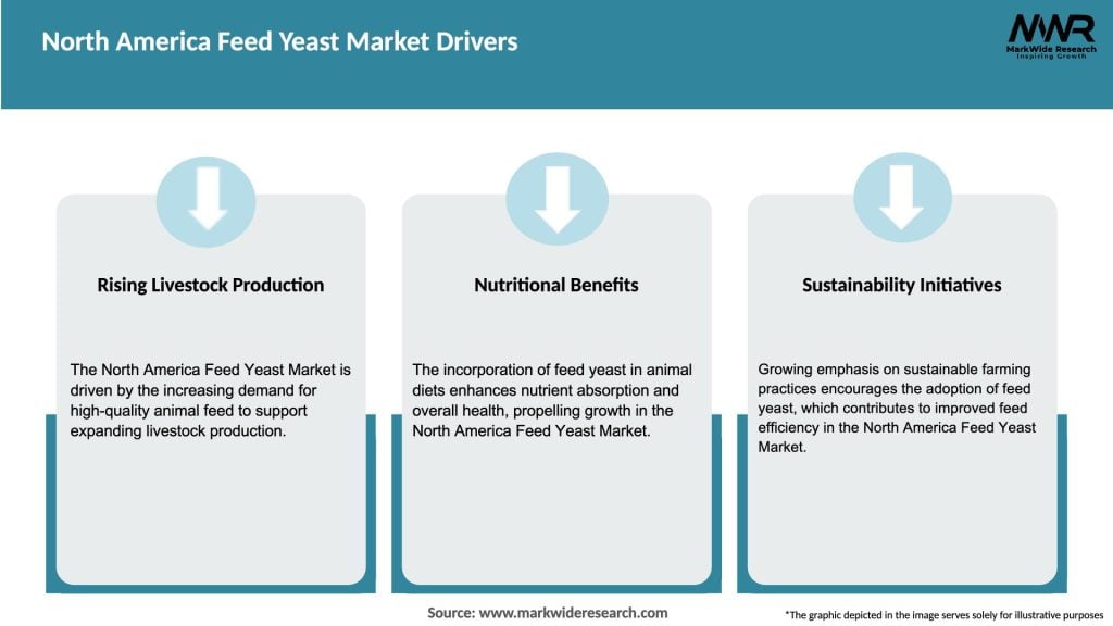 North America Feed Yeast Market Drivers