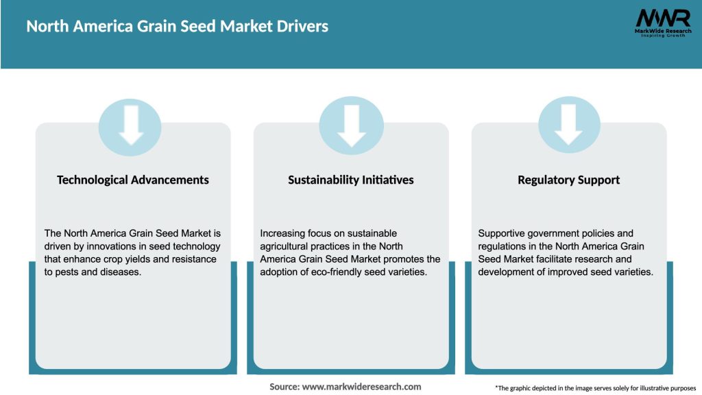 North America Grain Seed Market Drivers