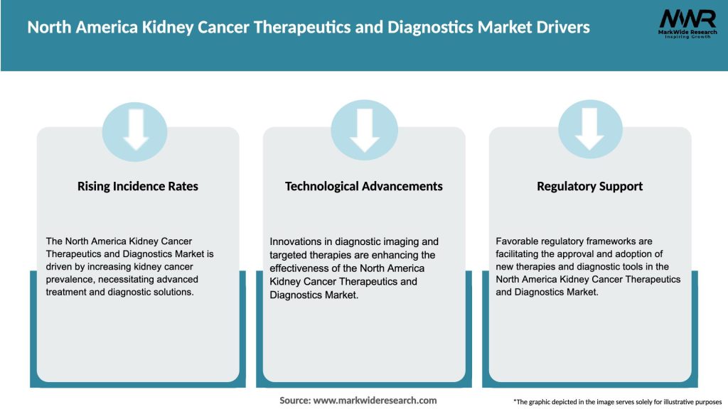 North America Kidney Cancer Therapeutics and Diagnostics Market Drivers