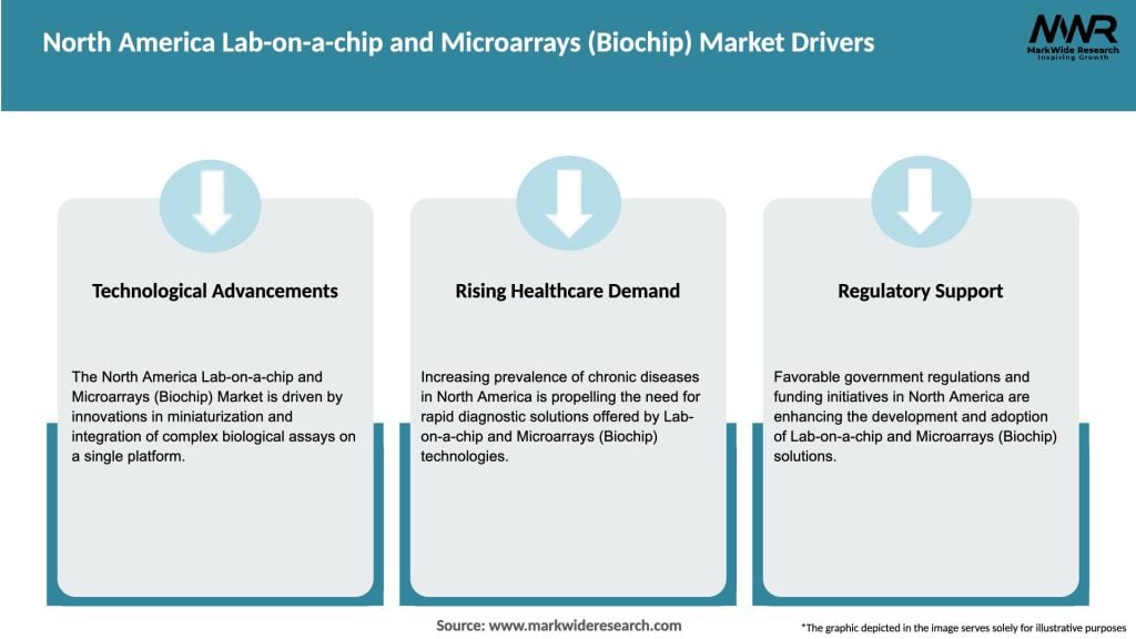 North America Lab-on-a-chip and Microarrays (Biochip) Market Drivers