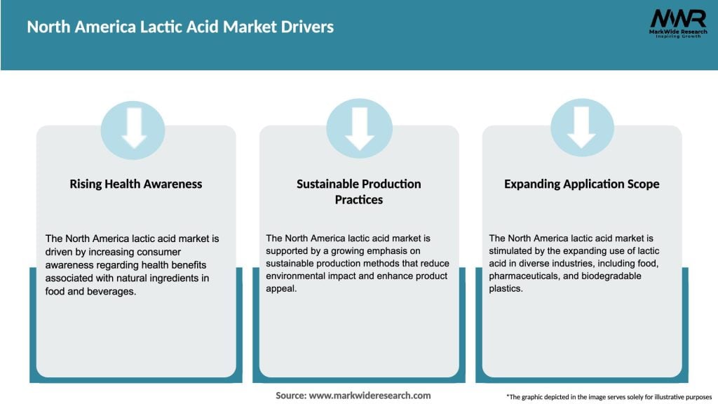 North America Lactic Acid Market Drivers