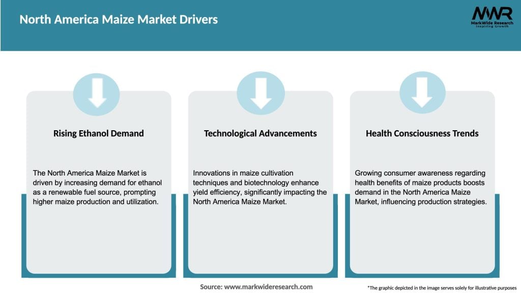 North America Maize Market Drivers