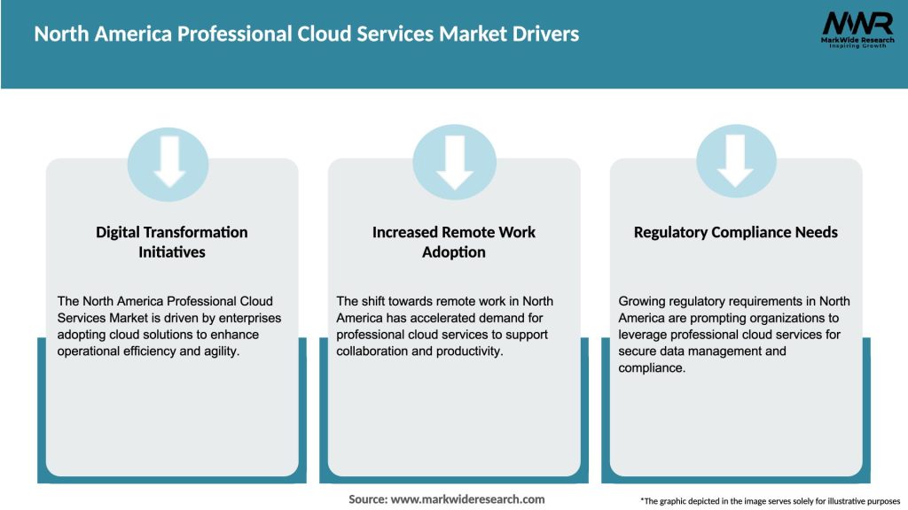 North America Professional Cloud Services Market Drivers