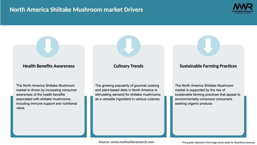North America Shiitake Mushroom market Drivers