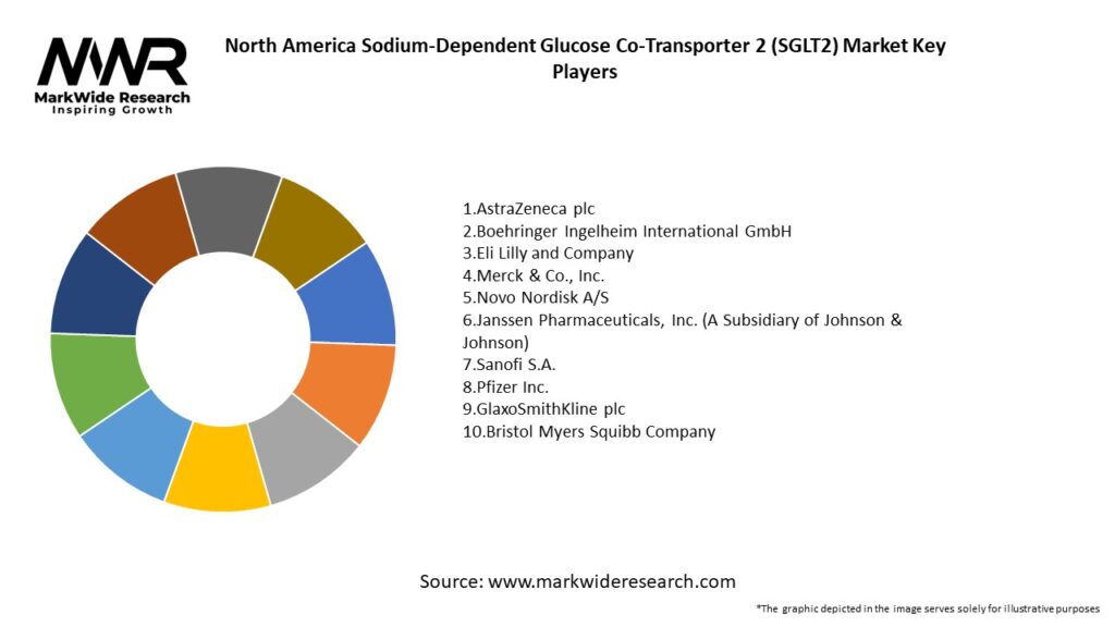 North America Sodium-Dependent Glucose Co-Transporter 2 (Sglt2) Market Key Players