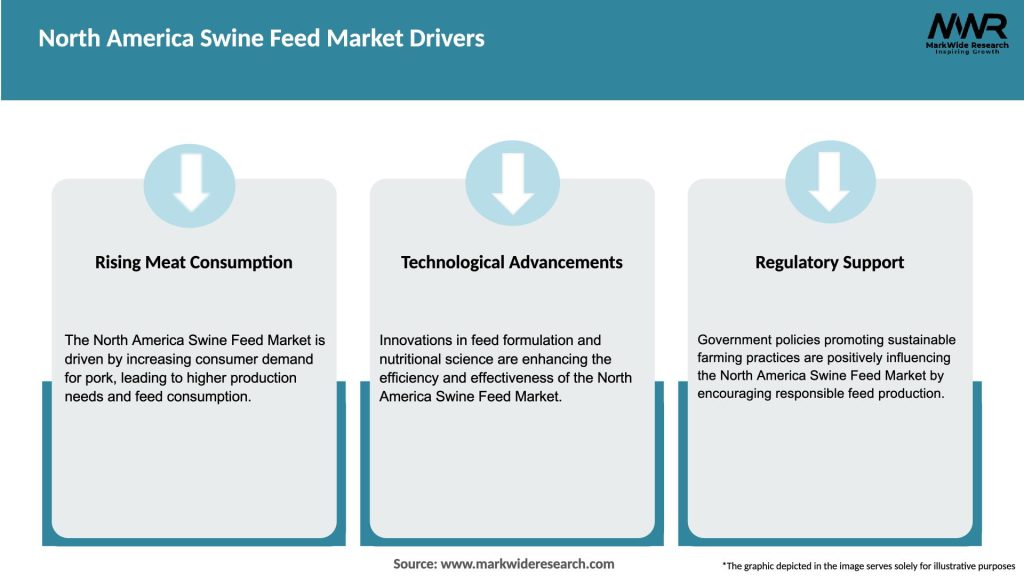 North America Swine Feed Market Drivers