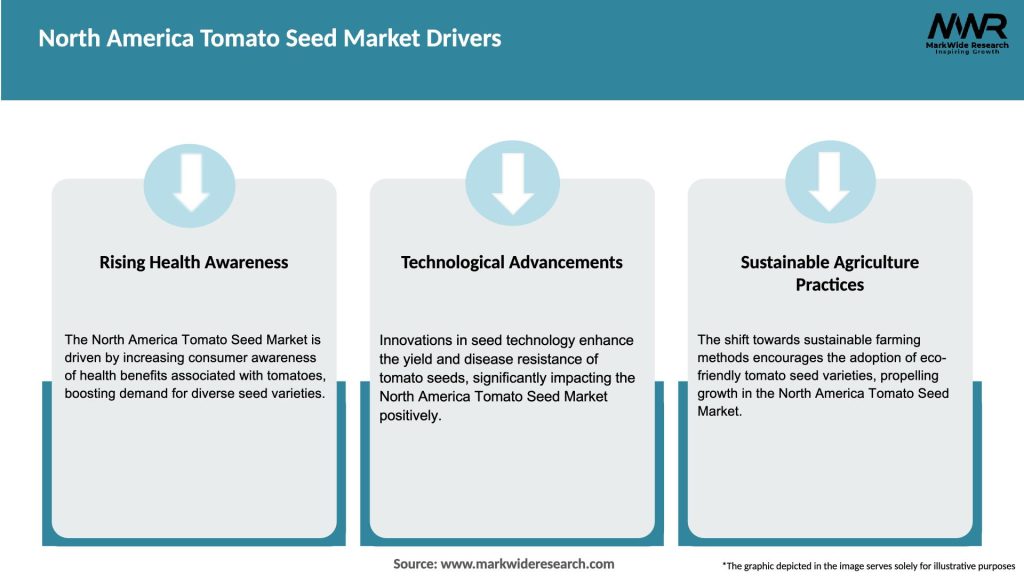 North America Tomato Seed Market Drivers