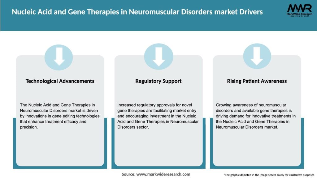 Nucleic Acid and Gene Therapies in Neuromuscular Disorders market Drivers