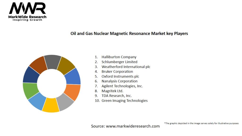 Oil and Gas Nuclear Magnetic Resonance Market Key Players
