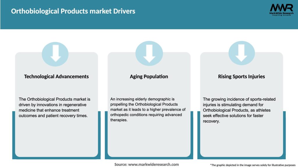 Orthobiological Products market Drivers