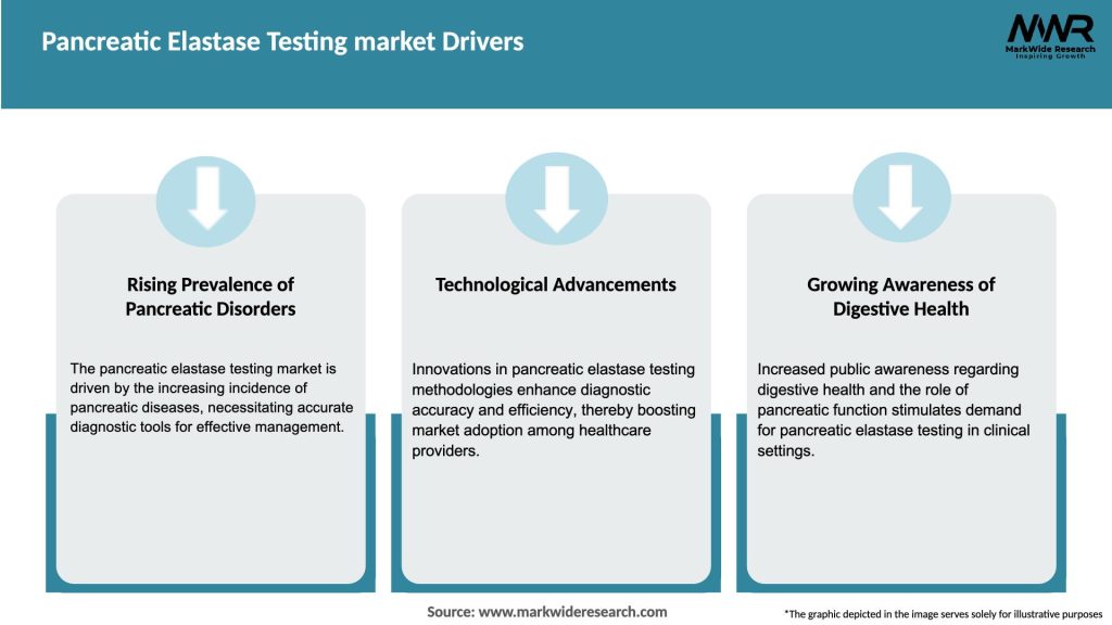Pancreatic Elastase Testing market Drivers