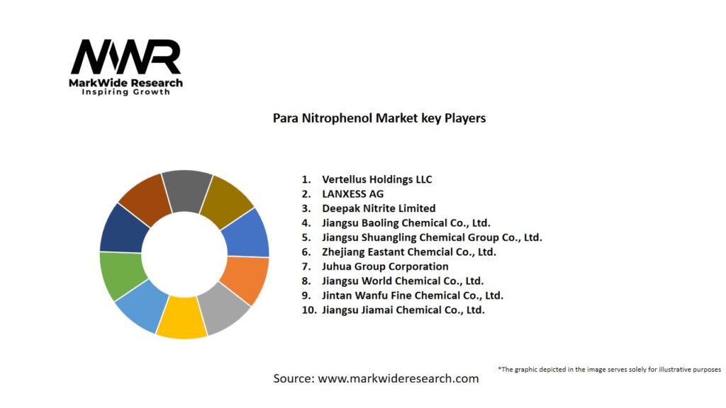 Para Nitrophenol market Key Players