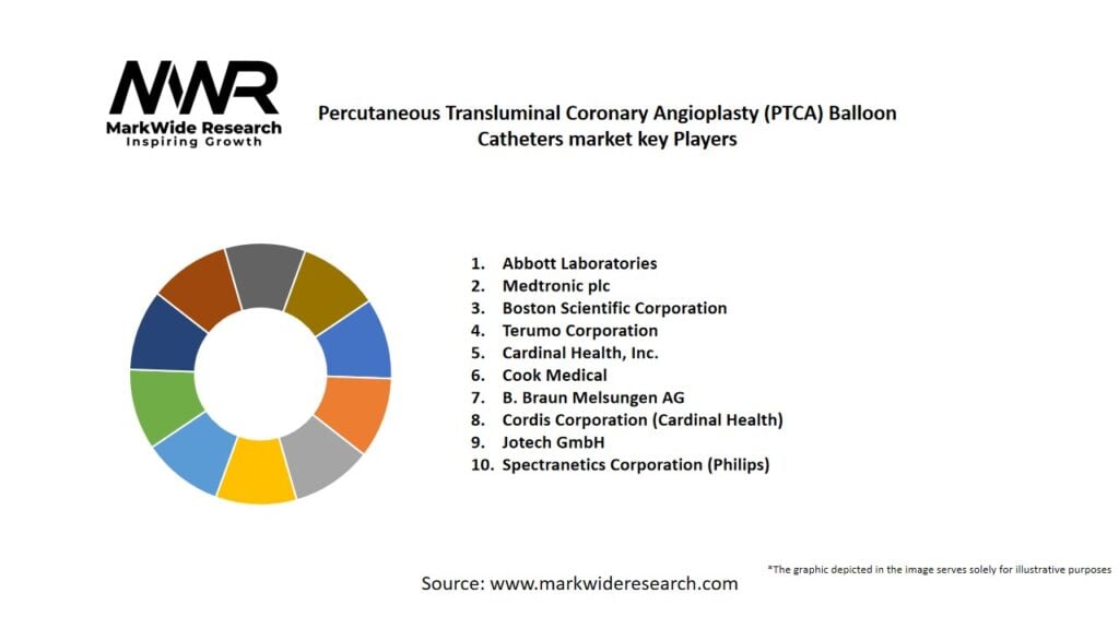 Percutaneous Transluminal Coronary Angioplasty (PTCA) Balloon Catheters market Key Players
