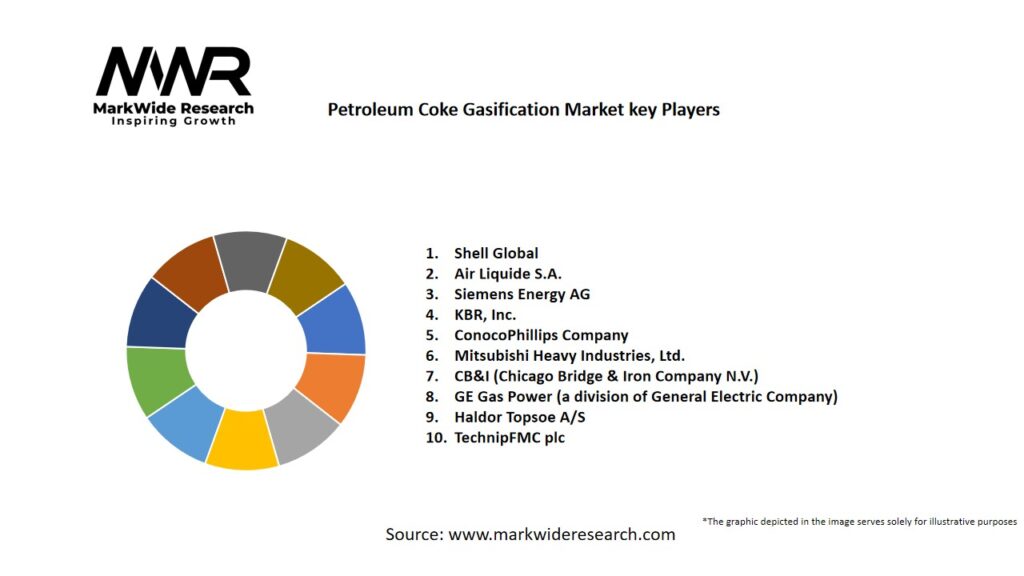 Petroleum Coke Gasification Market