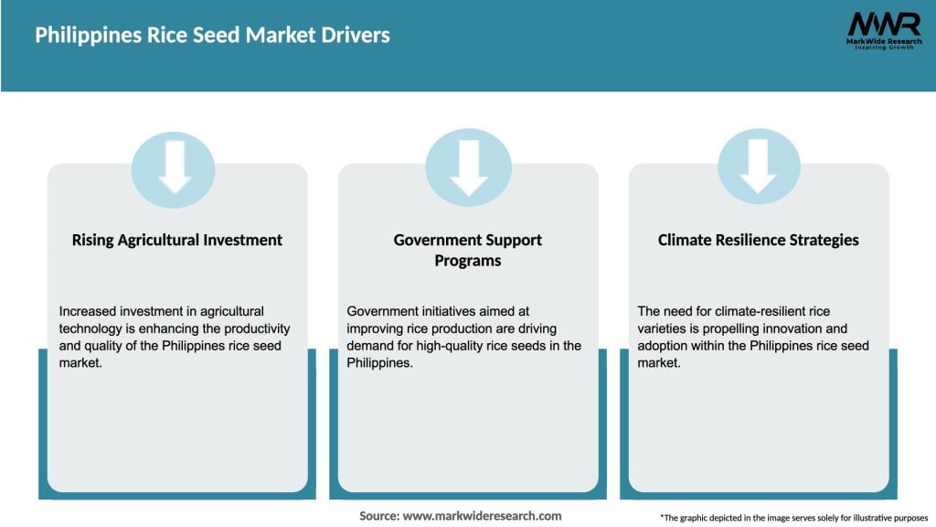Philippines Rice Seed Market Drivers