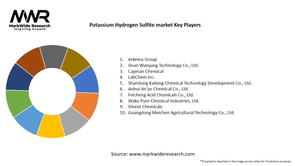 Potassium Hydrogen Sulfite market