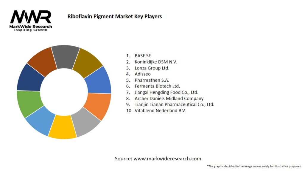 Riboflavin Pigment market Key Players