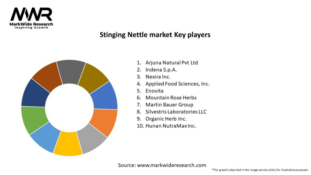 Stinging Nettle market Key Players