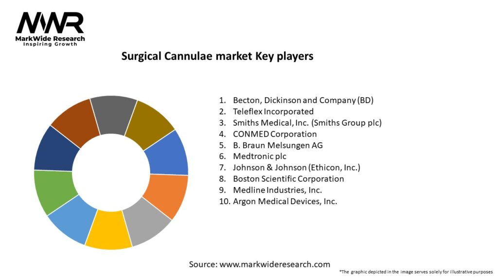 Surgical Cannulae market Key Players