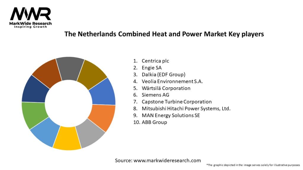 The Netherlands Combined Heat and Power Market
