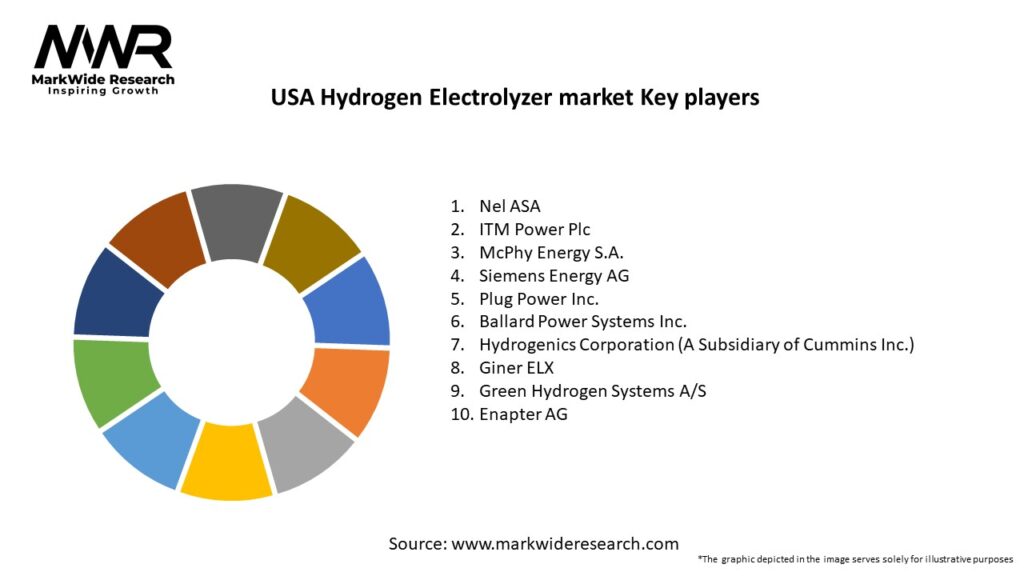 USA Hydrogen Electrolyzer market Key Players