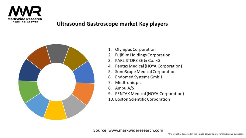 Ultrasound Gastroscope market Key Players
