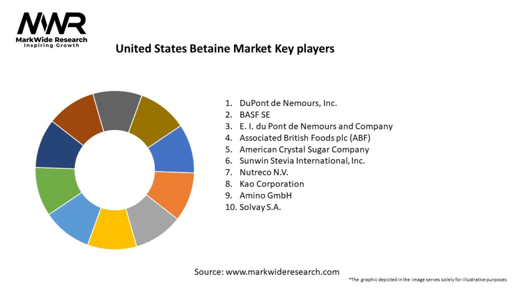 United States Betaine Market Key Players