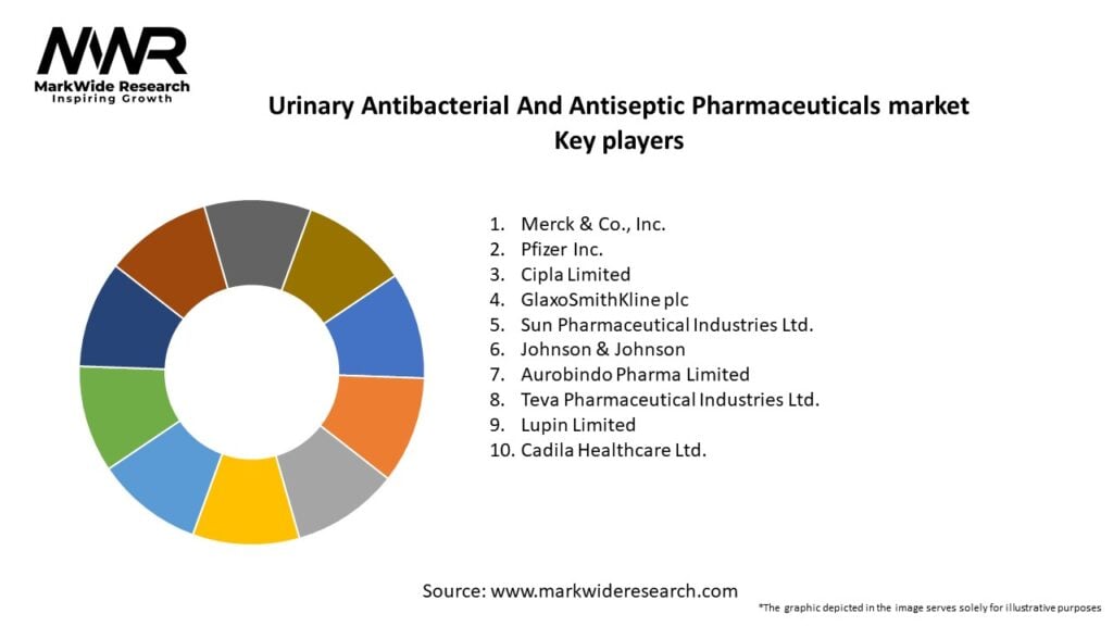 Urinary Antibacterial And Antiseptic Pharmaceuticals market