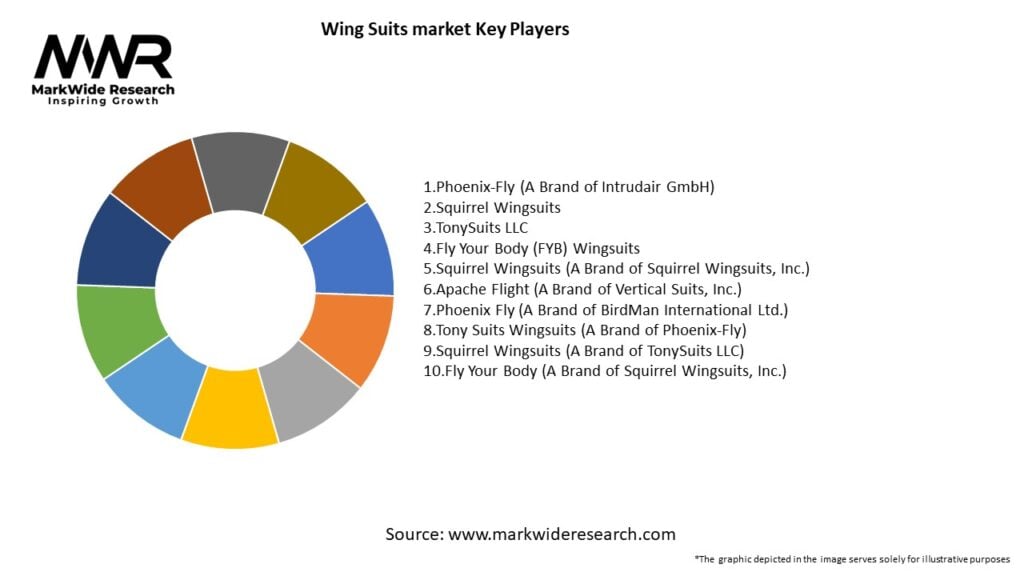 Wing Suits market