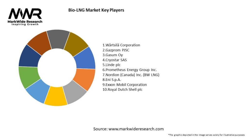 Bio-LNG Market Key Players