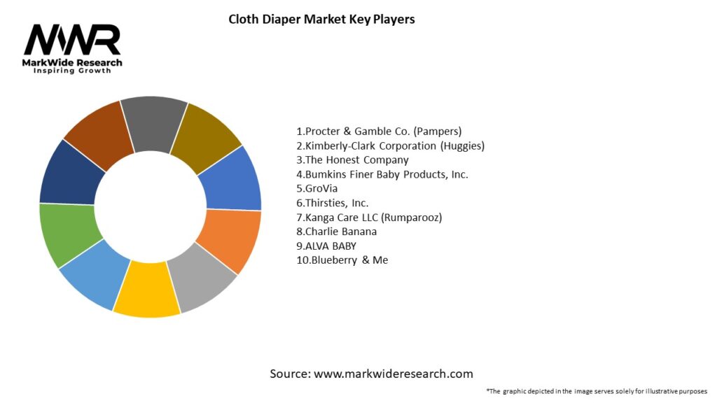 Cloth Diaper Market Key Players