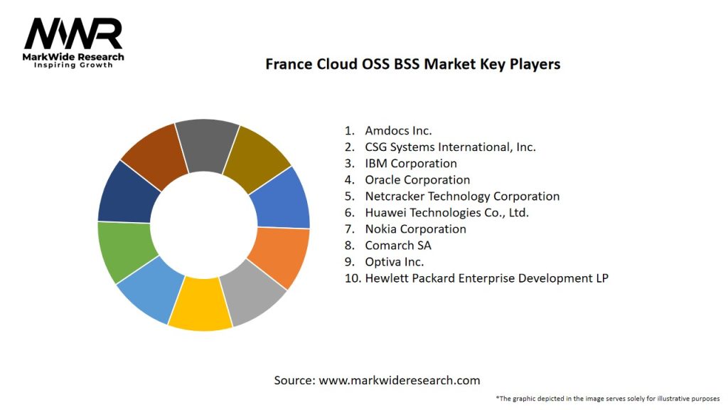 France Cloud OSS BSS Market Key Players