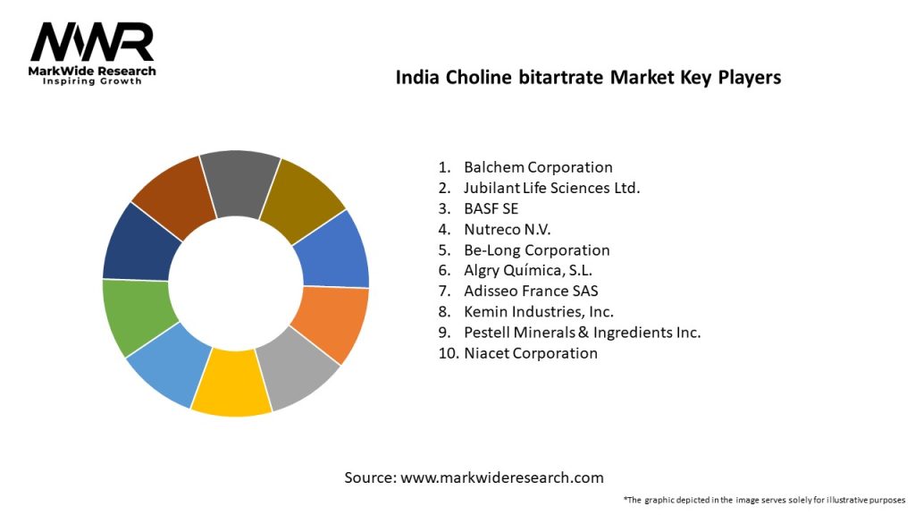 India Choline bitartrate Market Key Players