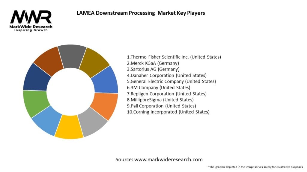 LAMEA Downstream Processing Market